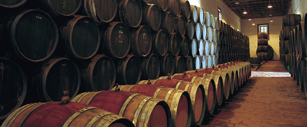 View of casks in a Montilla winery © Turespaña