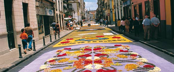 Carpet of flowers © Turespaña