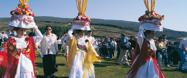 Celebration of the Festival of Las Móndidas, in a field. San Pedro Manrique, Soria © Turespaña