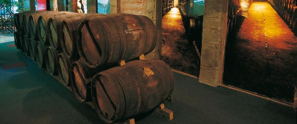 Museo del Vino. Haro, La Rioja © Turespaña