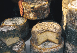 Cabrales (strong cheese from Asturias) Fair. Cabrales. (Asturias). Aug 30,2015. Gastronomía. 